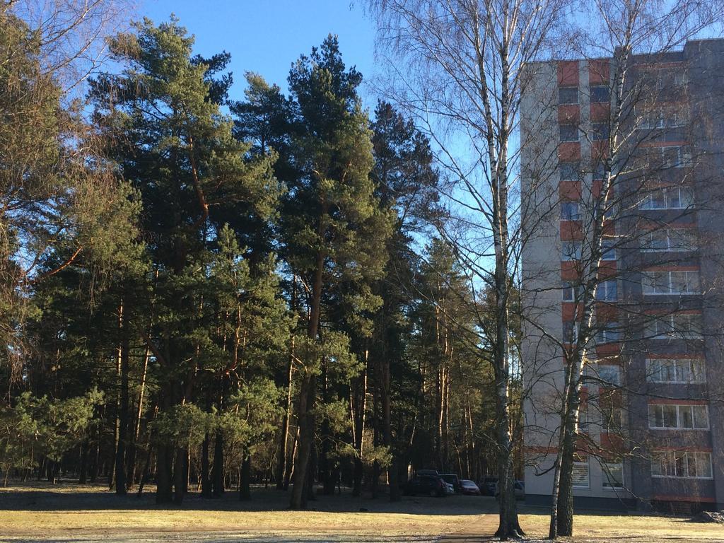 Angel Apartment Druskininkai Bagian luar foto